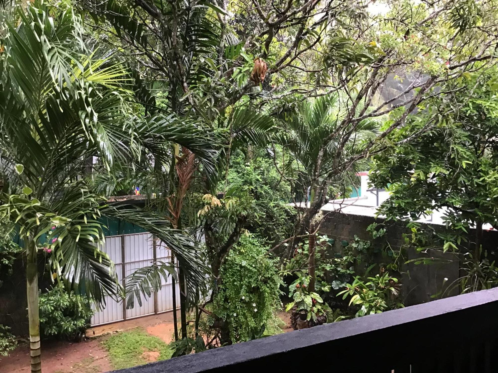 Sanjeehome & Lanka Ayurveda, Bentota Dış mekan fotoğraf