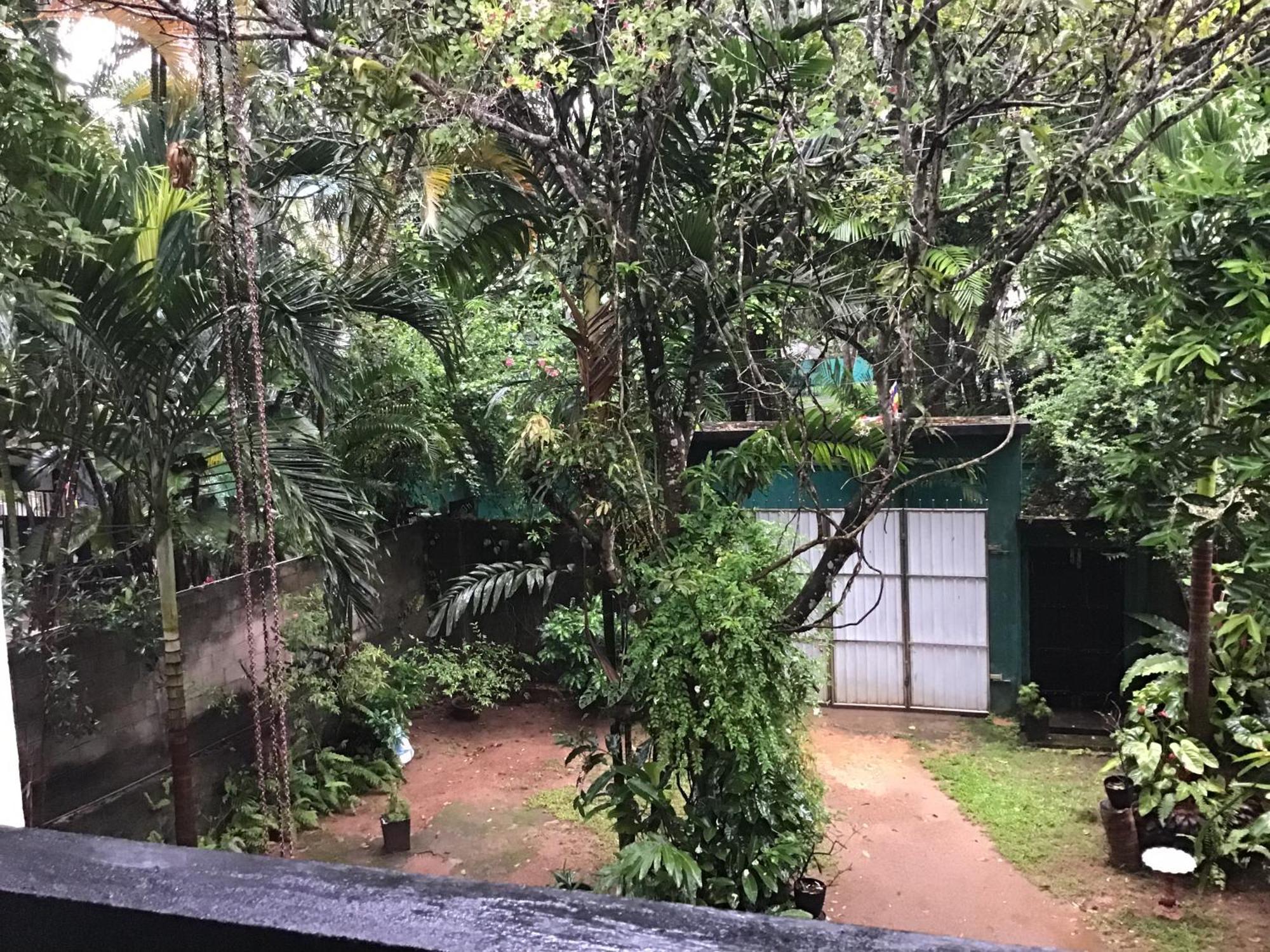 Sanjeehome & Lanka Ayurveda, Bentota Dış mekan fotoğraf