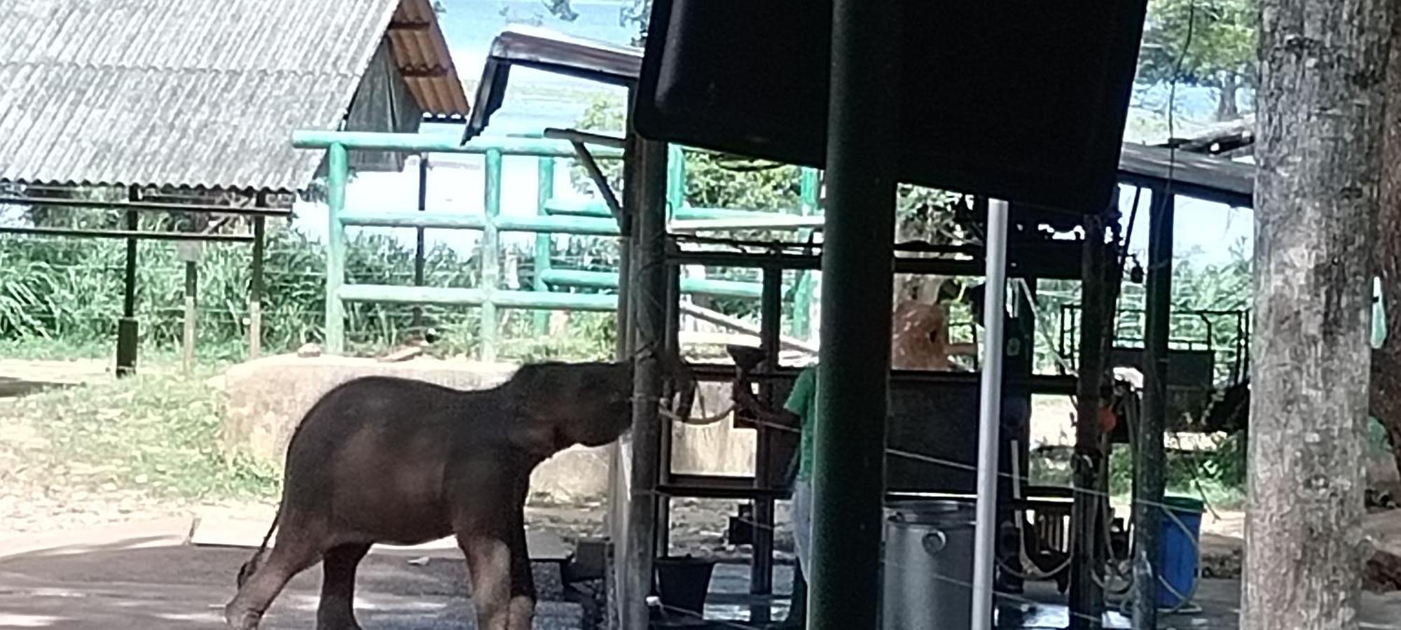 Sanjeehome & Lanka Ayurveda, Bentota Dış mekan fotoğraf